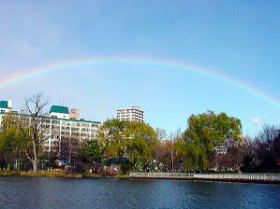 菖蒲池に架かる虹