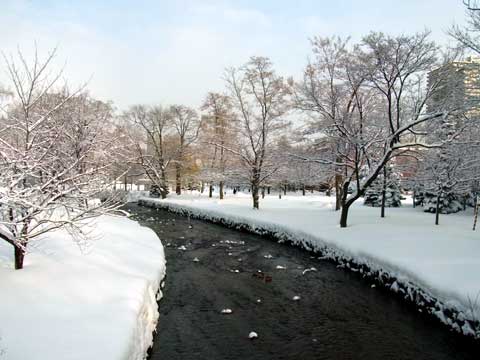 2012年1月9日鴨々川南14条橋より