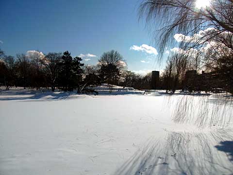 2012年1月14日菖蒲池西岸より